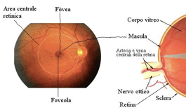 esame-fondo-oculare